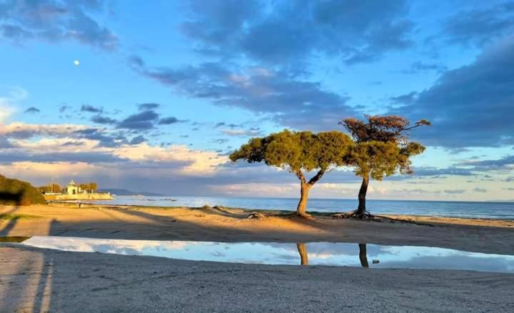 Άνετο Διαμέρισμα Artemida  Esterno foto